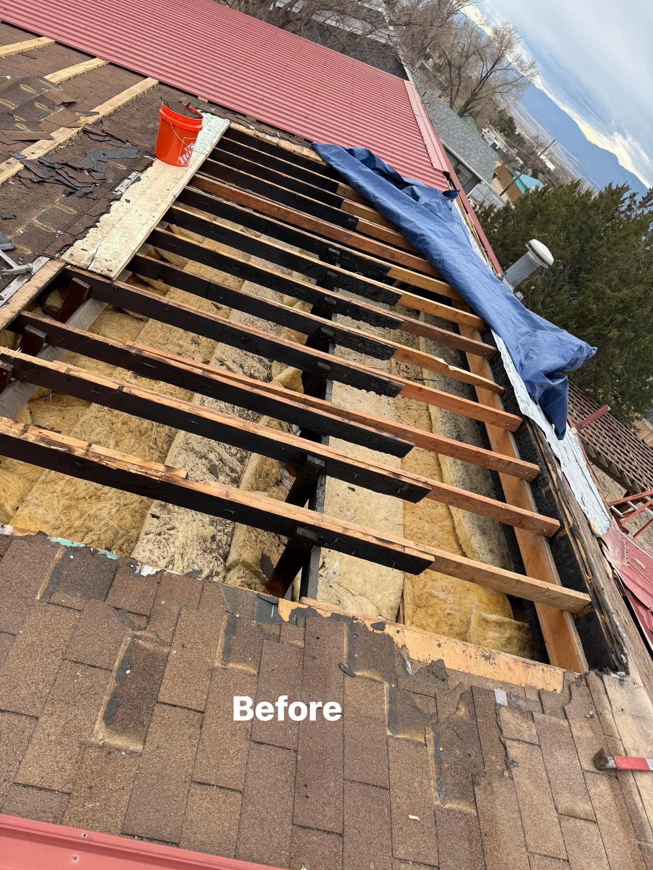 Roof under repair with exposed wooden rafters, blue tarp, and orange bucket on shingles.