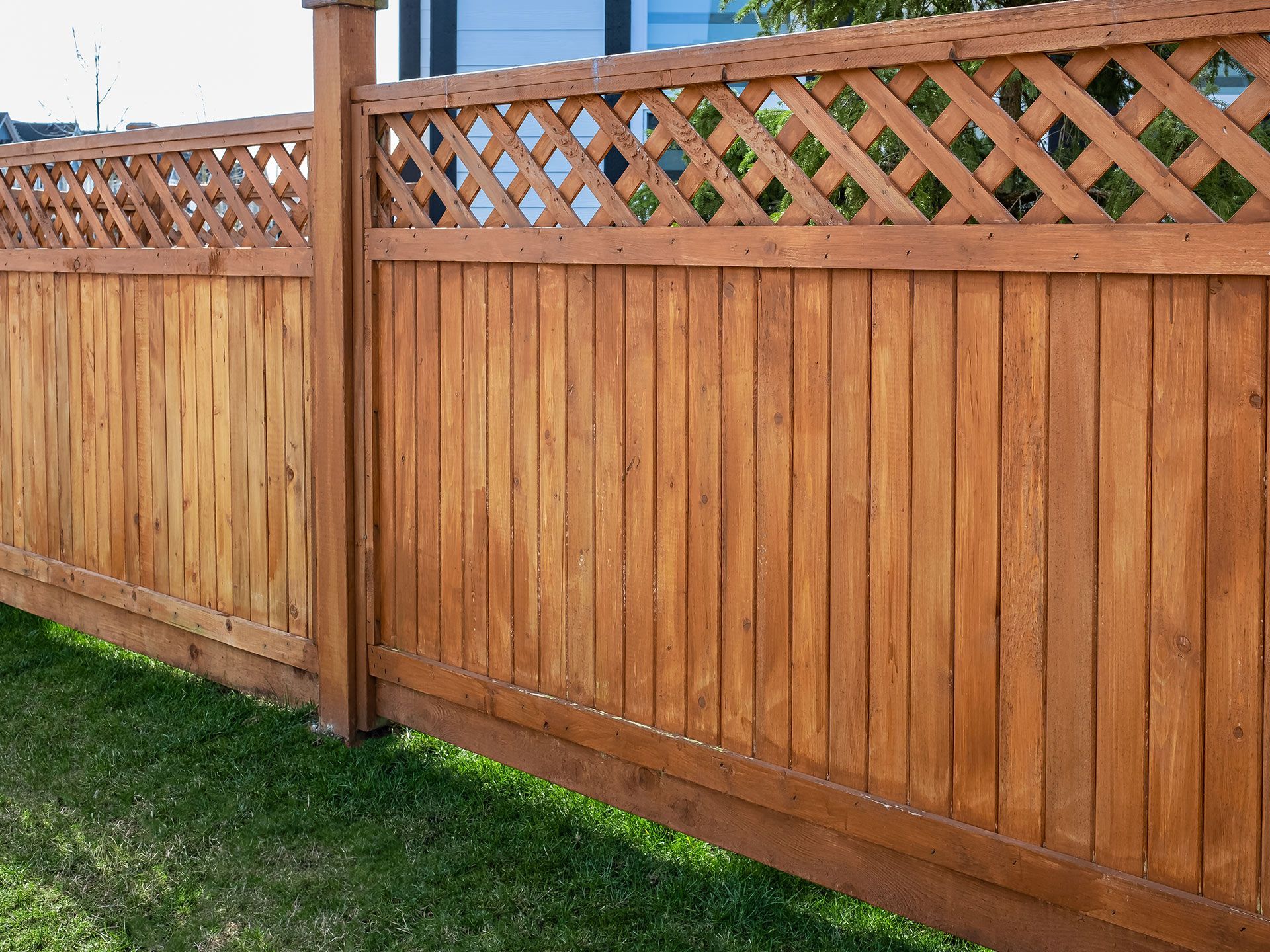 Wooden privacy fence with lattice top along a grassy yard