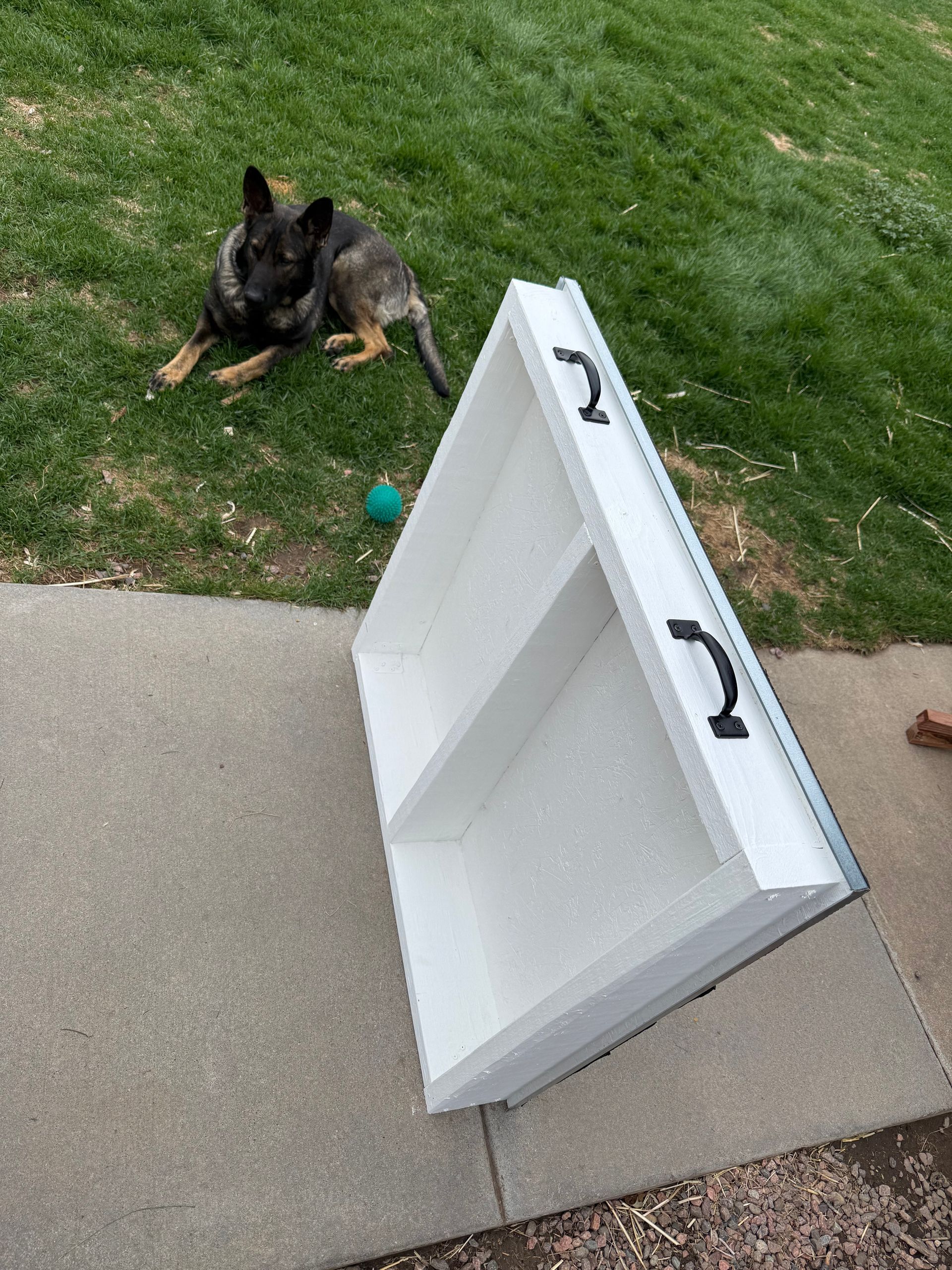 Dog lying on grass beside a tipped white shelf on a patio, with a green ball nearby.