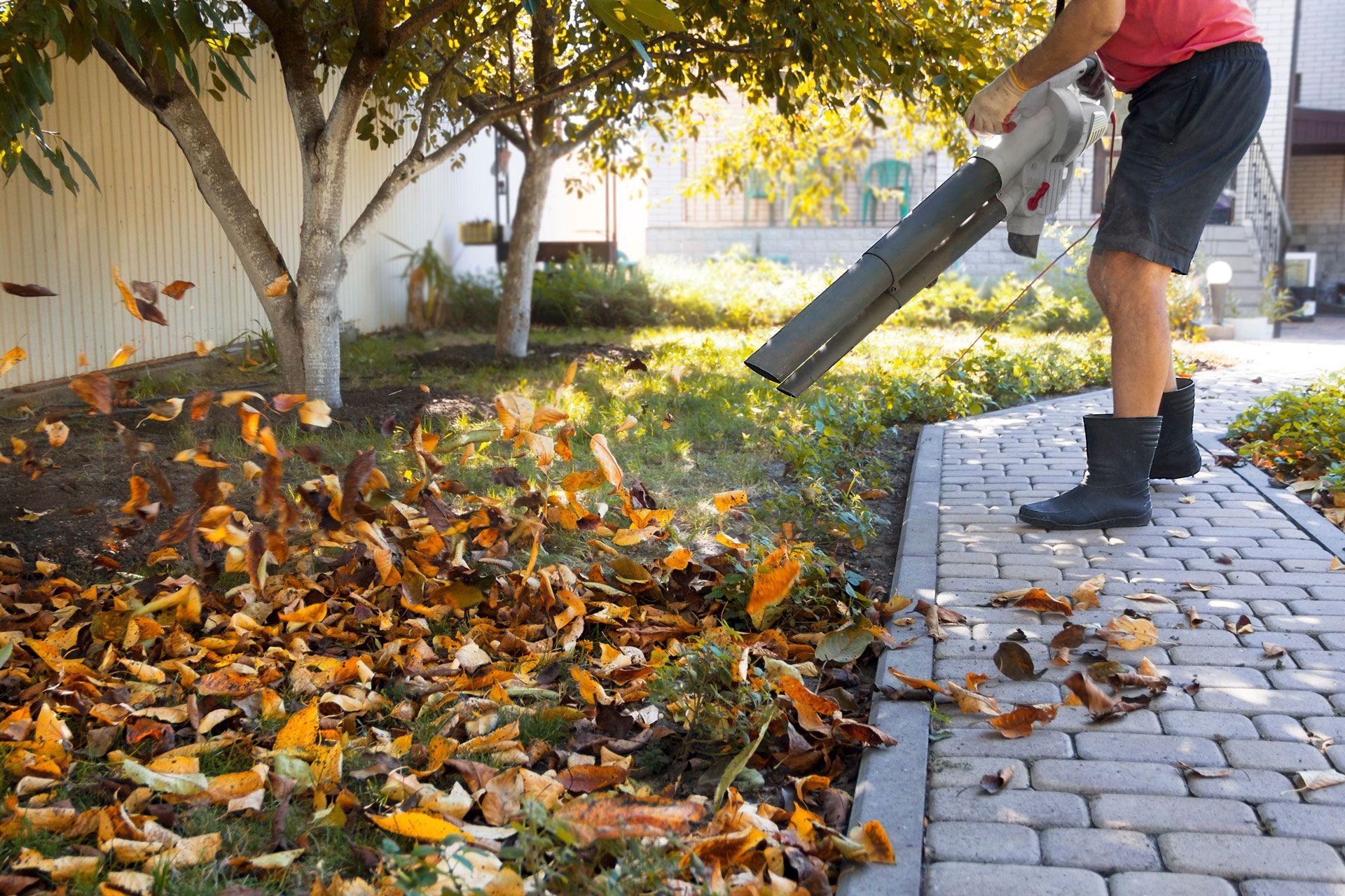 Person using a leaf blower to clear autumn leaves from a sidewalk and yard.