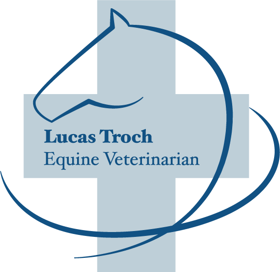 Kies rechts een categorie om meer te weten te komen veterinarian for horses