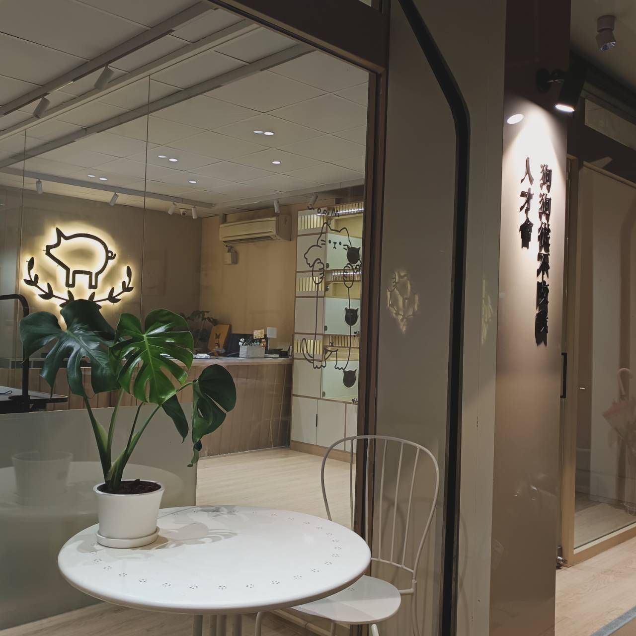 土城區寵物美容/寵物旅館/寵物住宿/豬窩寵物美容旅館住宿