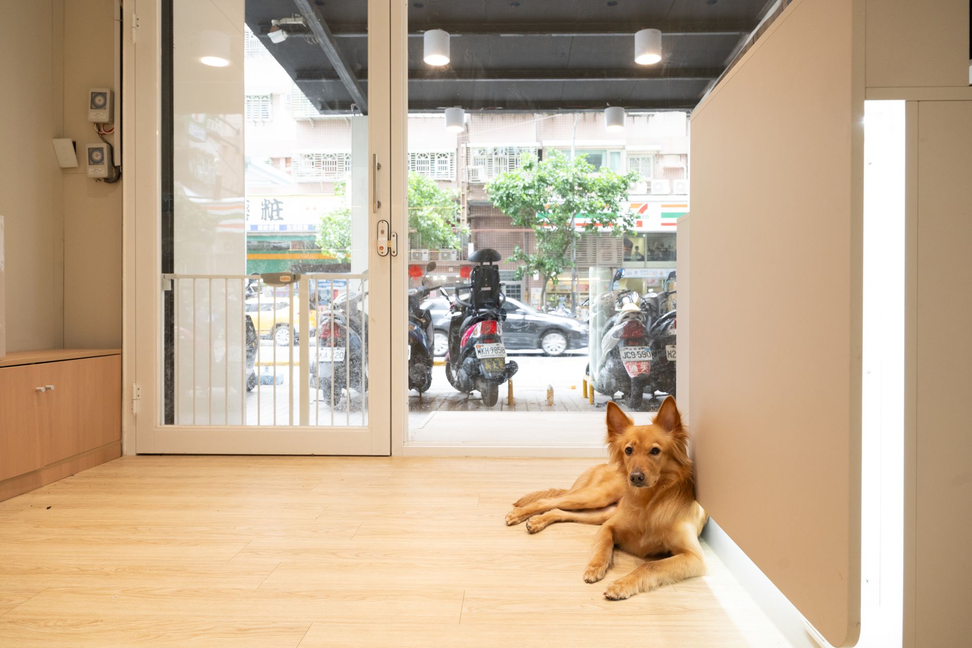 中和區寵物美容/寵物旅館/寵物住宿/豬窩寵物美容旅館住宿/貓咪住宿/狗狗住宿