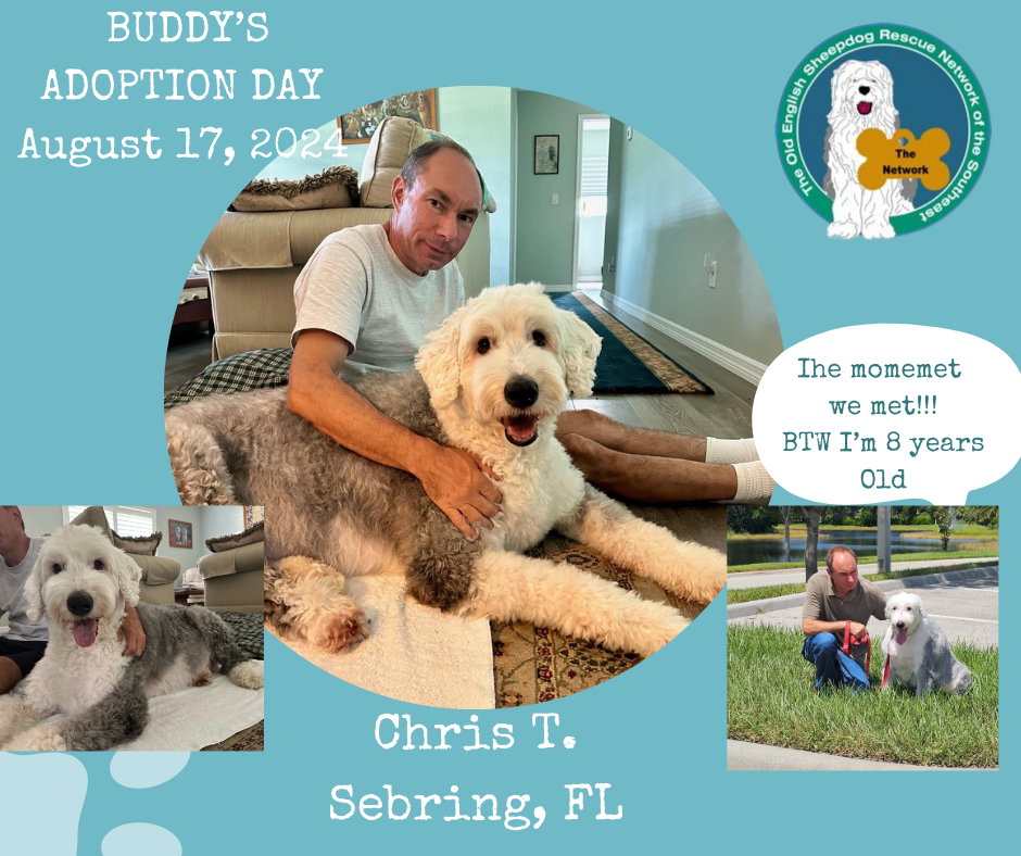A man is petting a dog on buddy 's adoption day