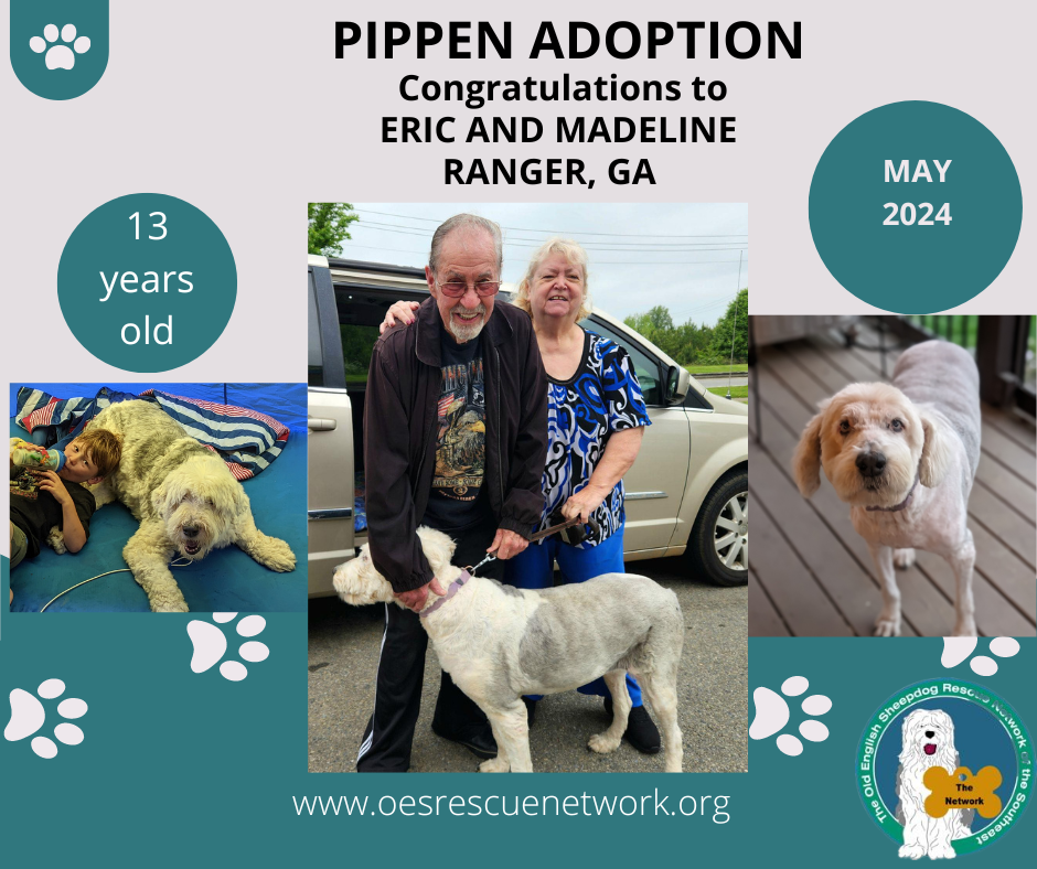 Pippen adoption congratulations to eric and madeline ranger ga may 2024