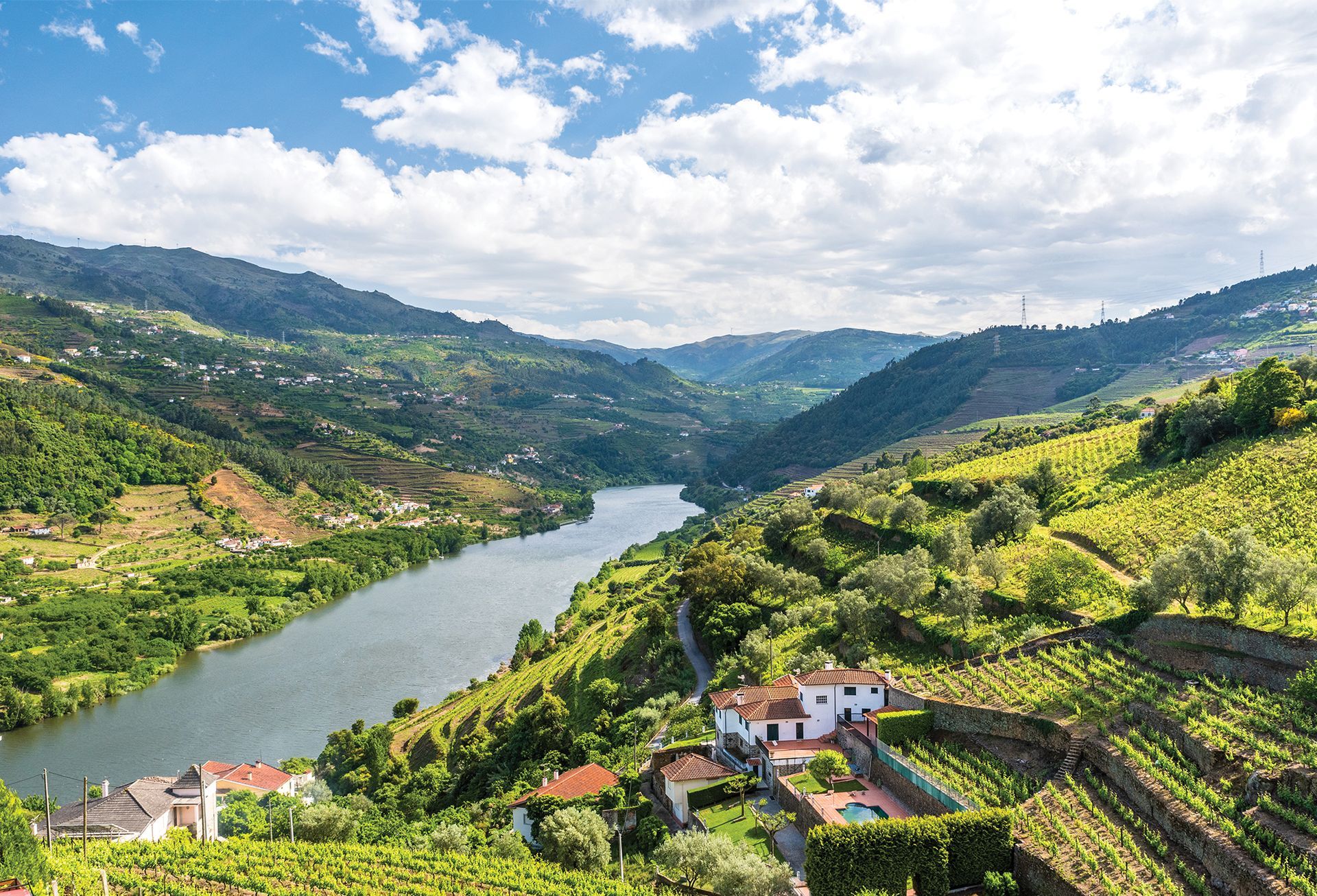 An aerial view of a river surrounded by mountains and vineyards.