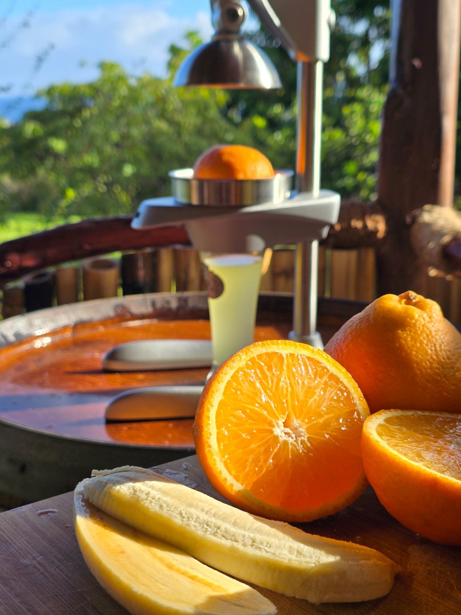 Tomatoes, mushrooms, peppers, chilis, garlic, and onions arranged on a dark surface. Private oceanfront lodging on the Big Island.