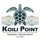 Logo: Sea turtle above text