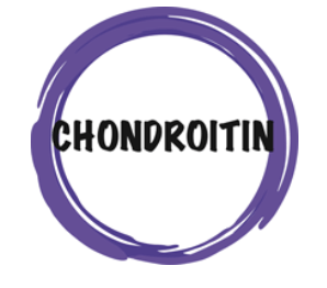 A purple circle with the word chondroitin inside of it