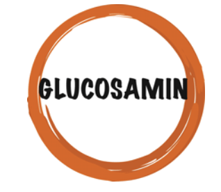 An orange circle with the word glucosamin inside of it