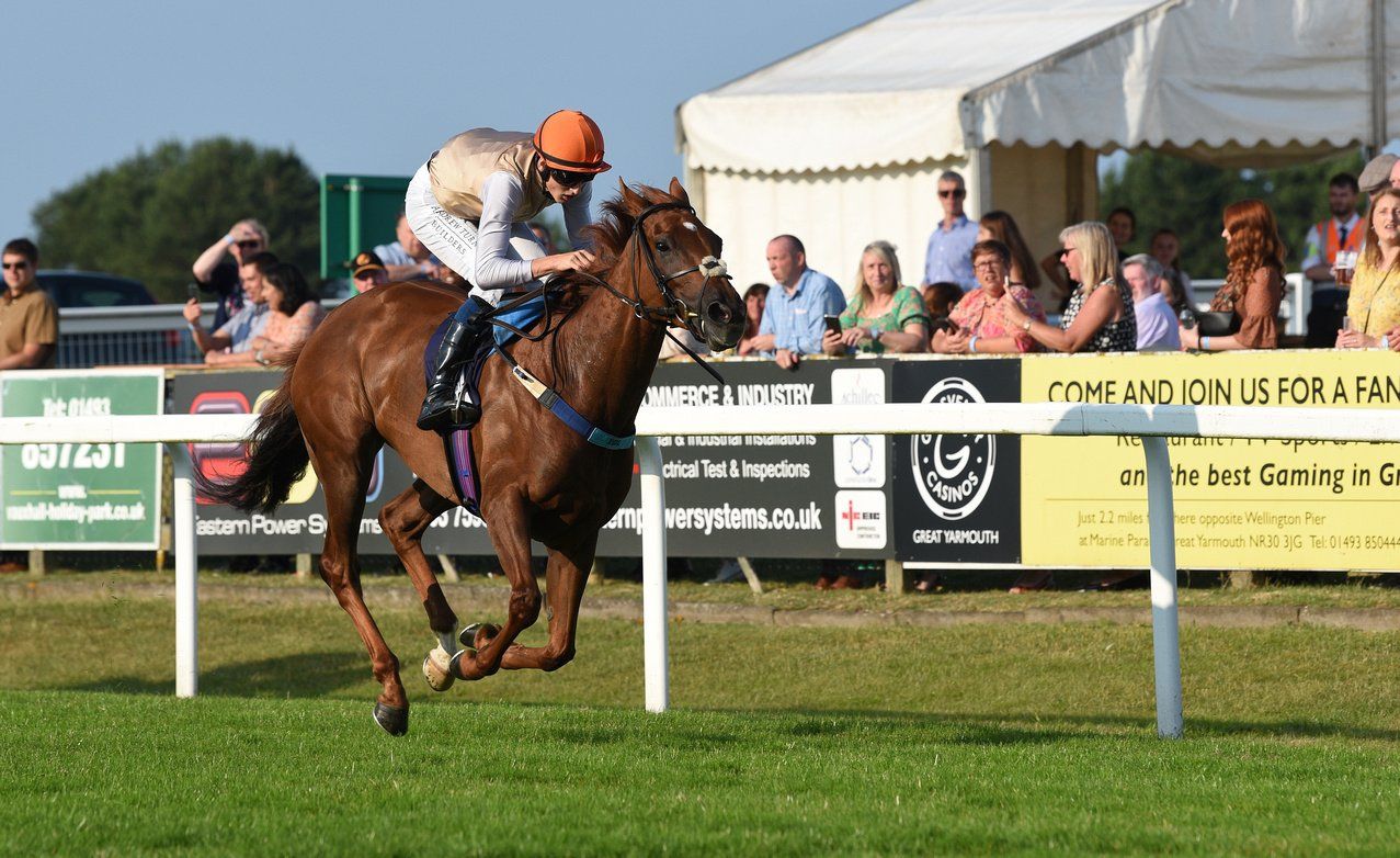 A jockey is riding a horse in a race.