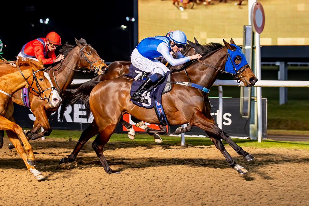 A group of horses are racing on a dirt track.
