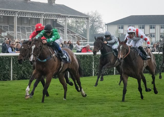 A group of horses are racing on a track.