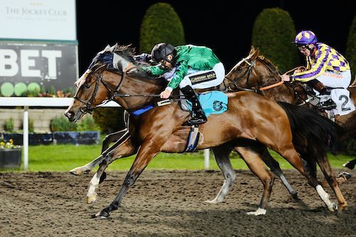 A group of horses are racing on a track with a sign in the background that says bet
