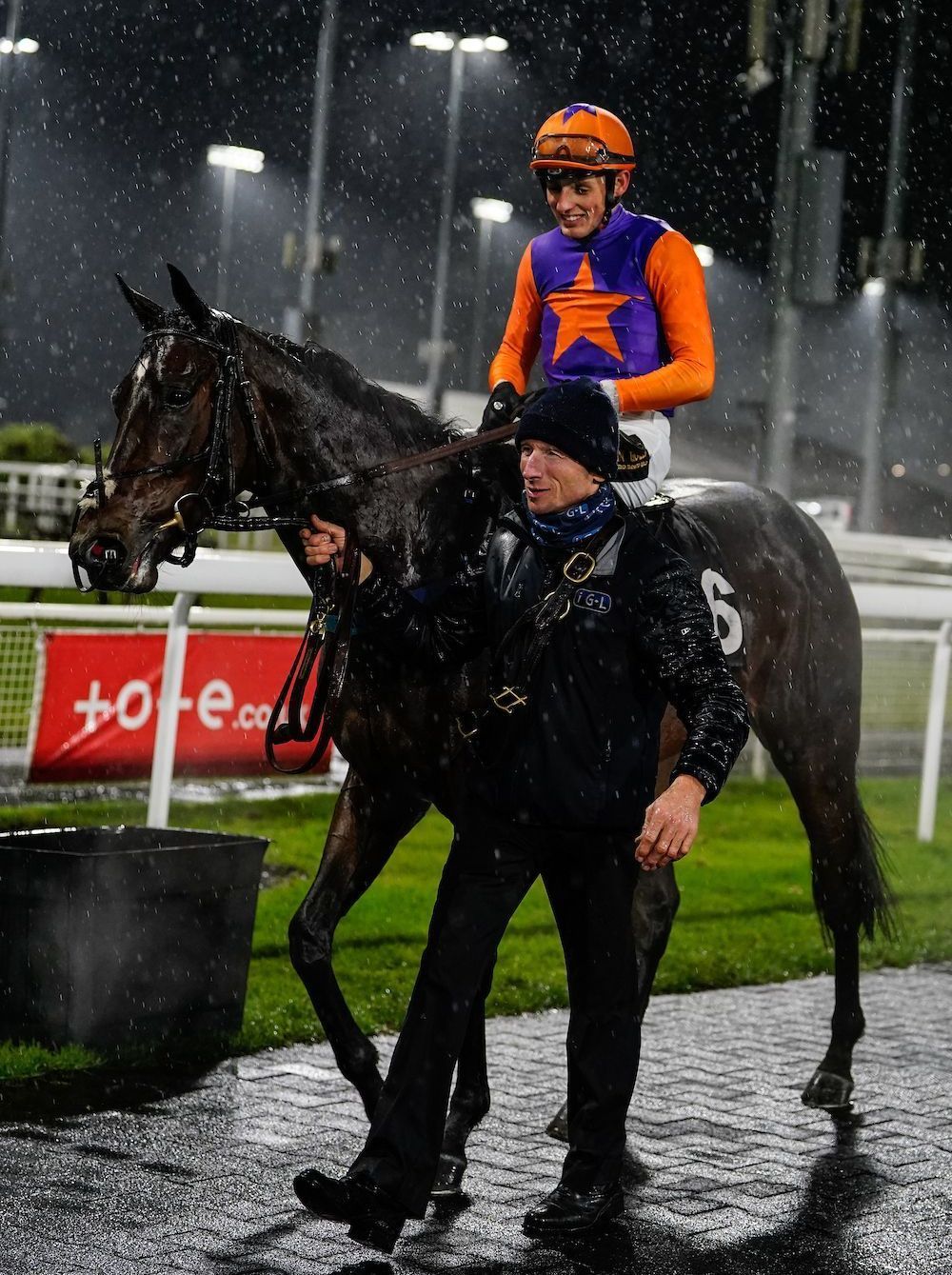 A jockey wearing a purple vest with a star on it leads a horse