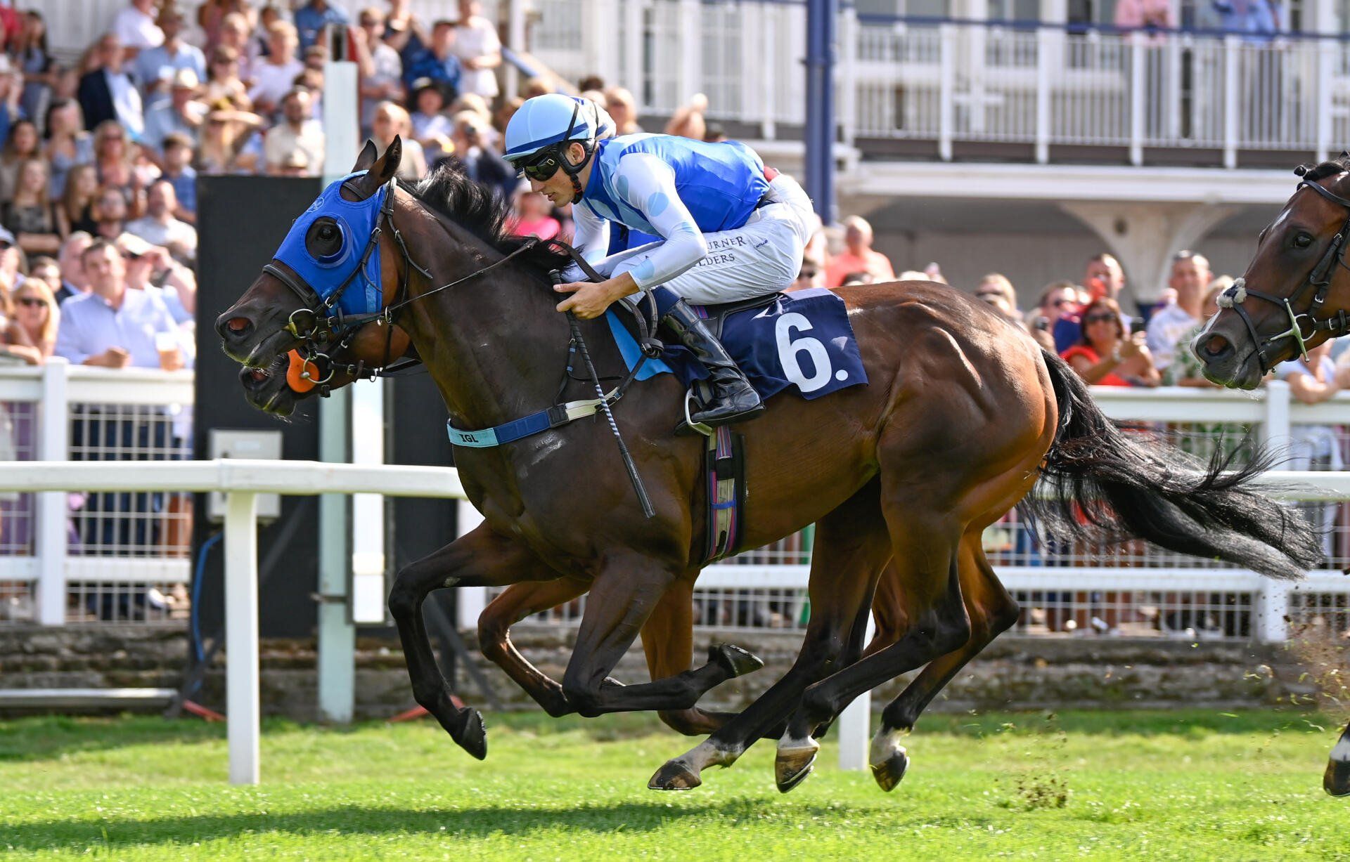 A jockey is riding a horse in a race.