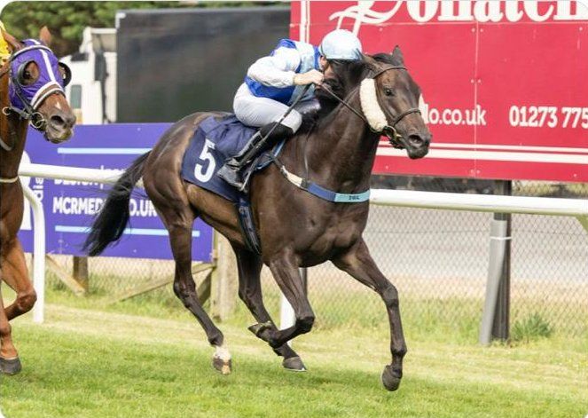 Retrouvailles wins at Brighton