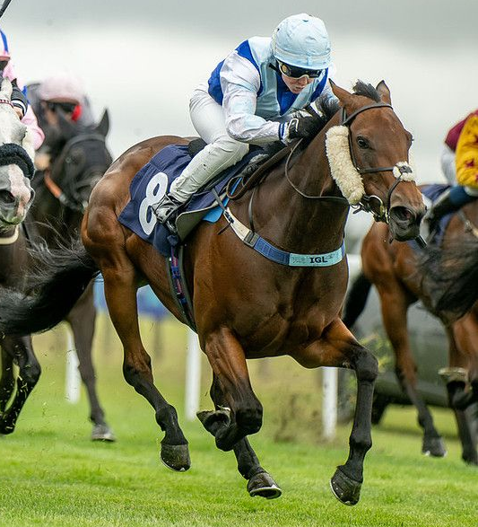 A jockey is riding a horse with the number 7 on it