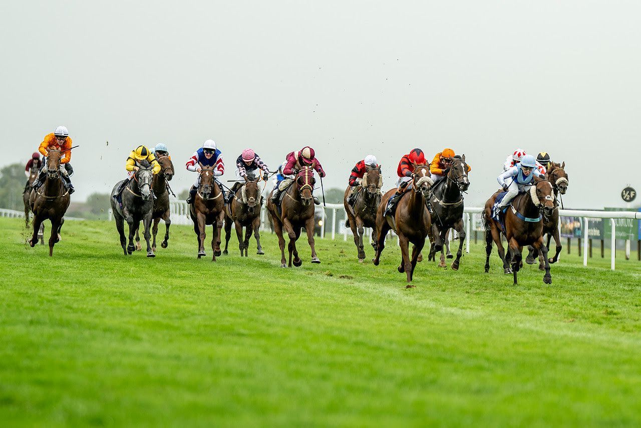 A group of horses are racing on a grassy field.