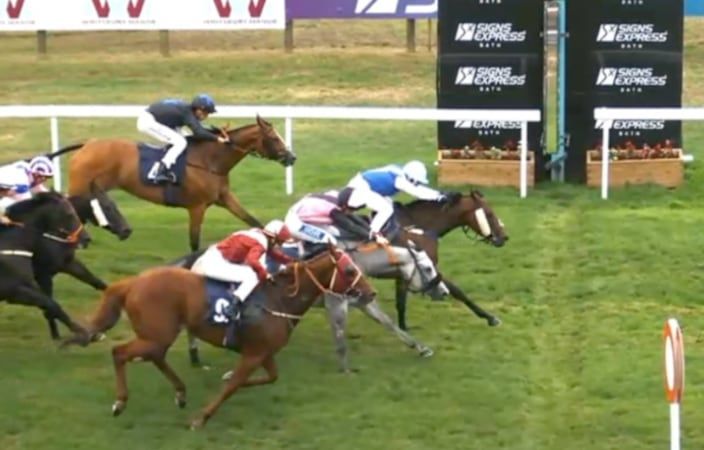 A group of horses are racing on a grassy field.