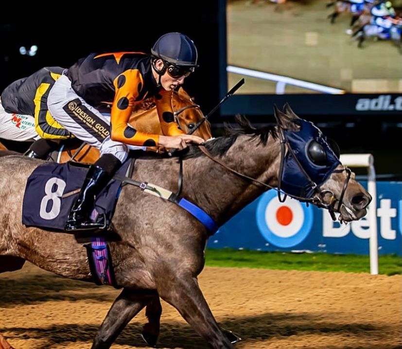 A jockey is riding a horse with the number 8 on it