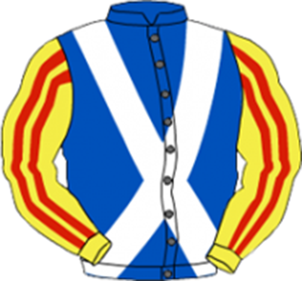 A blue jacket with yellow stripes on the sleeves