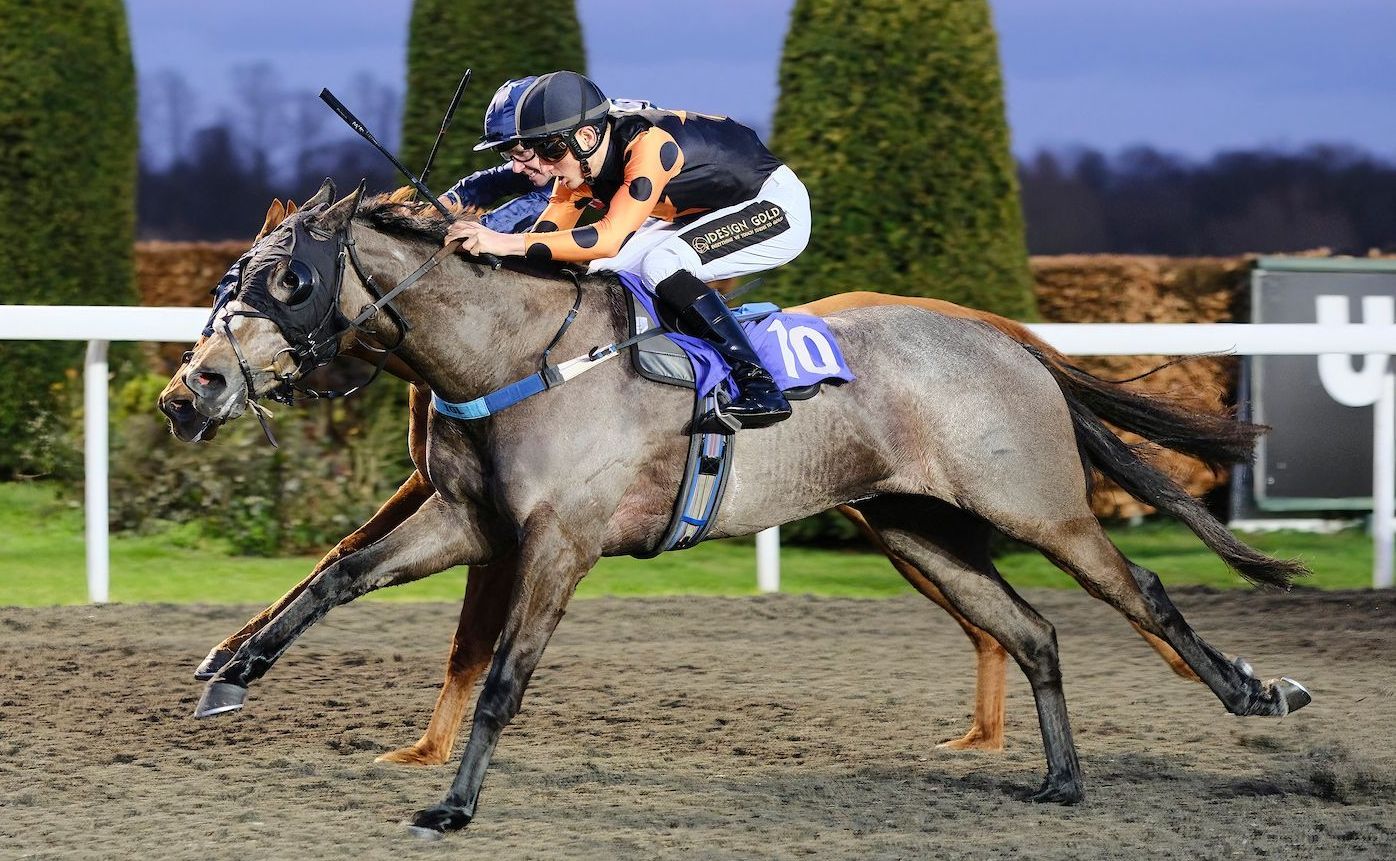 A jockey is riding a horse with the number 10 on it.