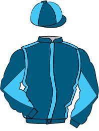 A cartoon drawing of a blue jacket and hat.