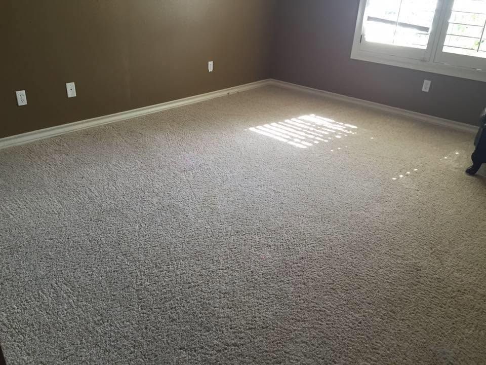 Empty beige carpeted room with brown walls and sunlight on the floor near a window