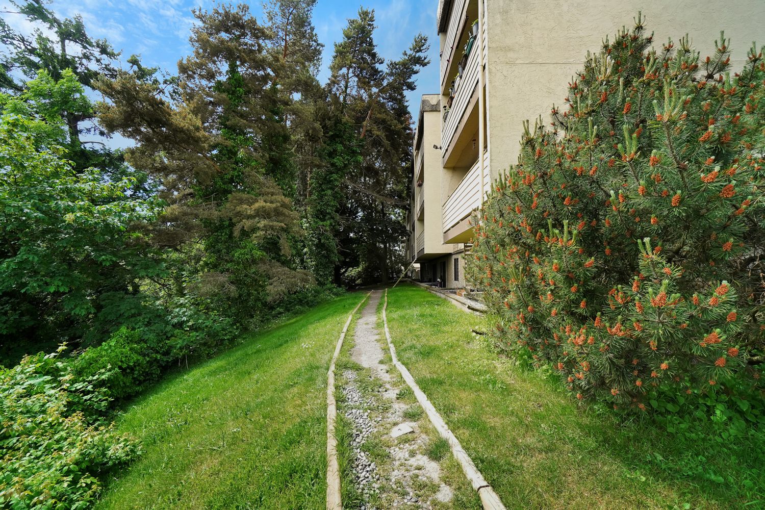 Suite Gallery View Road East Rental Units and Building Photos