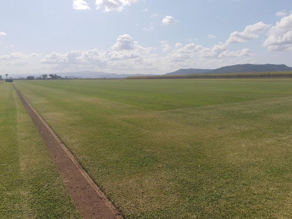 A Large Field Of Grass With Mountains In The Background — Marian Lawns In Marian, QLD