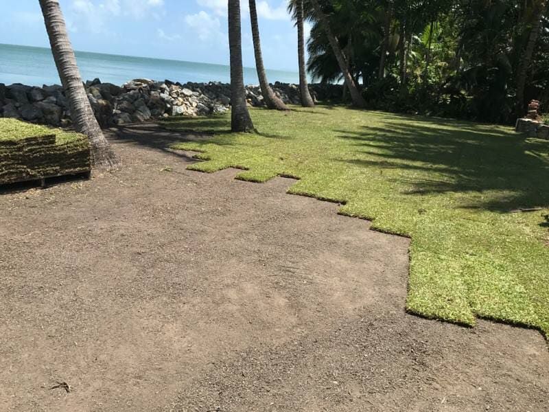 A Lush Green Field With Palm Trees And The Ocean In The Background — Marian Lawns In Marian, QLD