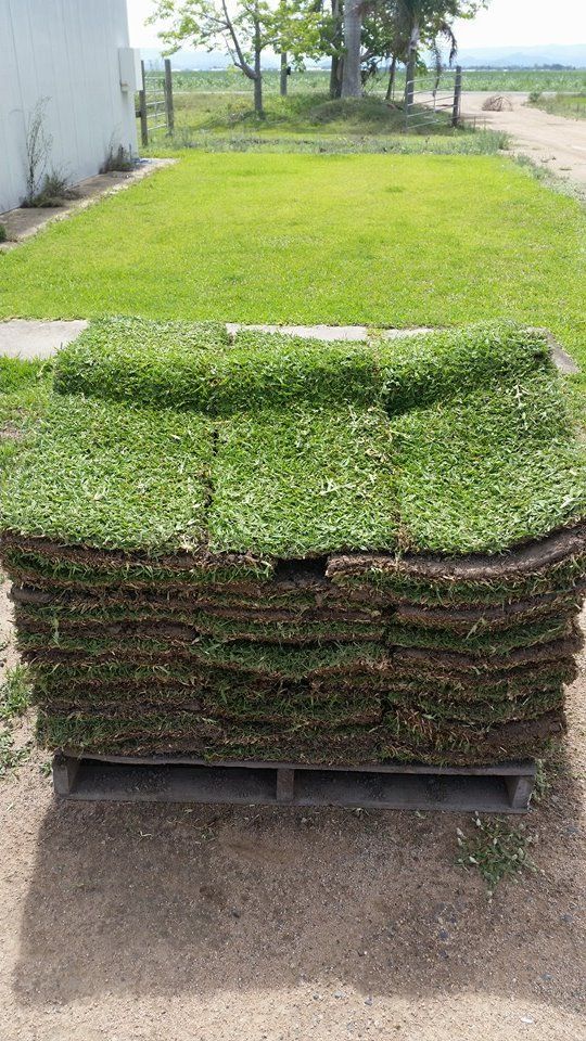 A Pile Of Turf Is Sitting On A Pallet In Front Of A Lush Green Field — Marian Lawns In Proserpine, QLD