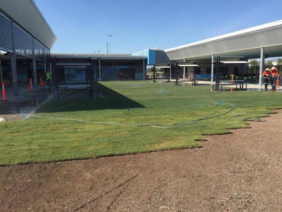 A Large Lawn Is Being Installed In Front Of A Building — Marian Lawns In Sarina, QLD