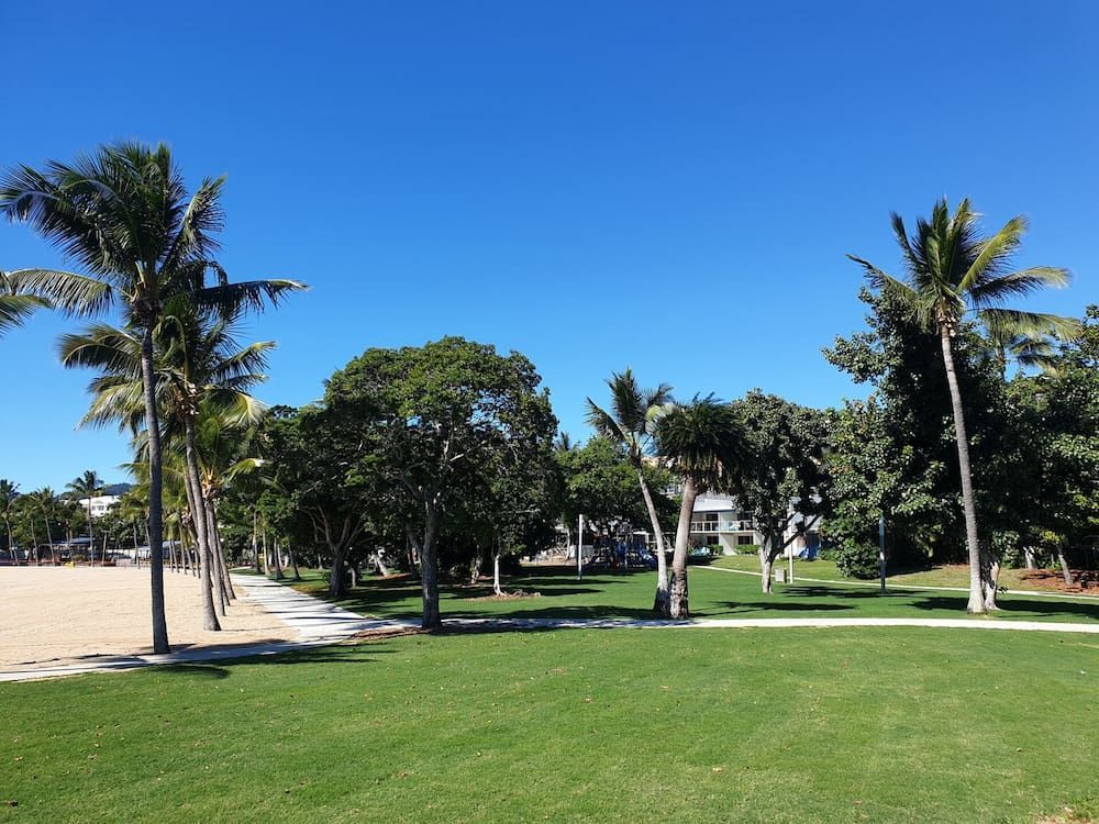 A Lush Green Park With Palm Trees And A Beach In The Background — Marian Lawns In Marian, QLD