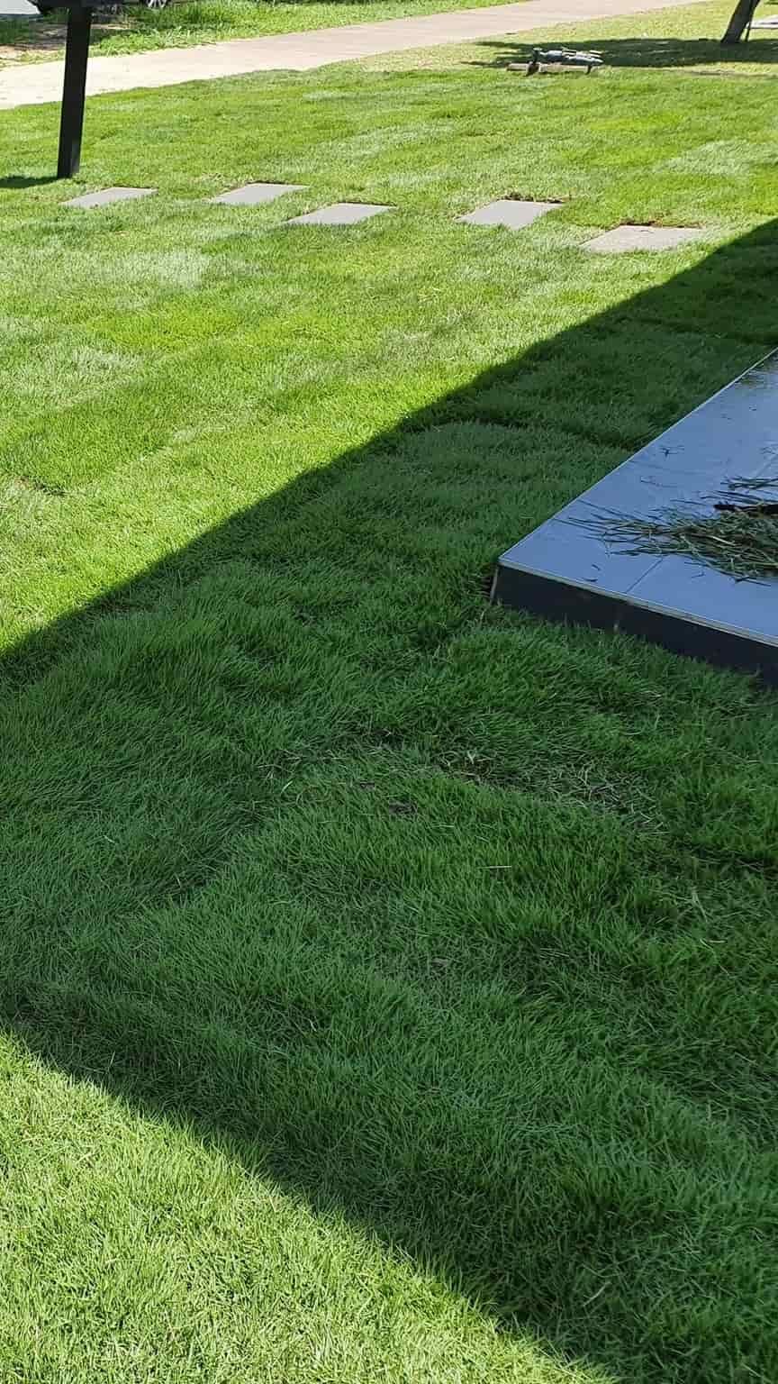 A Lush Green Lawn With A Grave In The Background — Marian Lawns In Moranbah, QLD