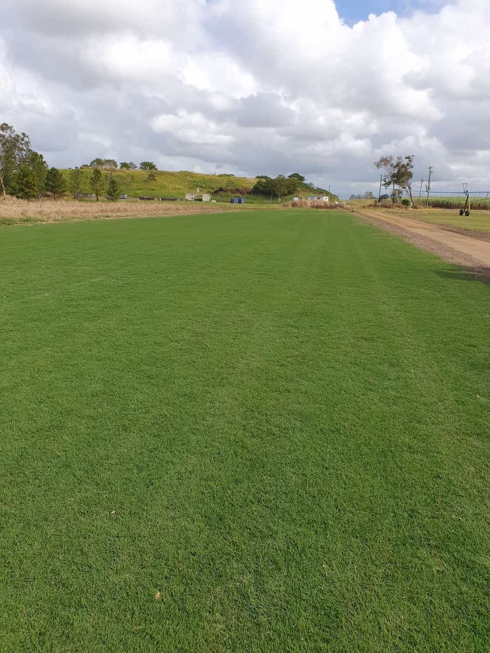 A Field Of Green Grass With A Dirt Road Going Through It — Marian Lawns In Marian, QLD