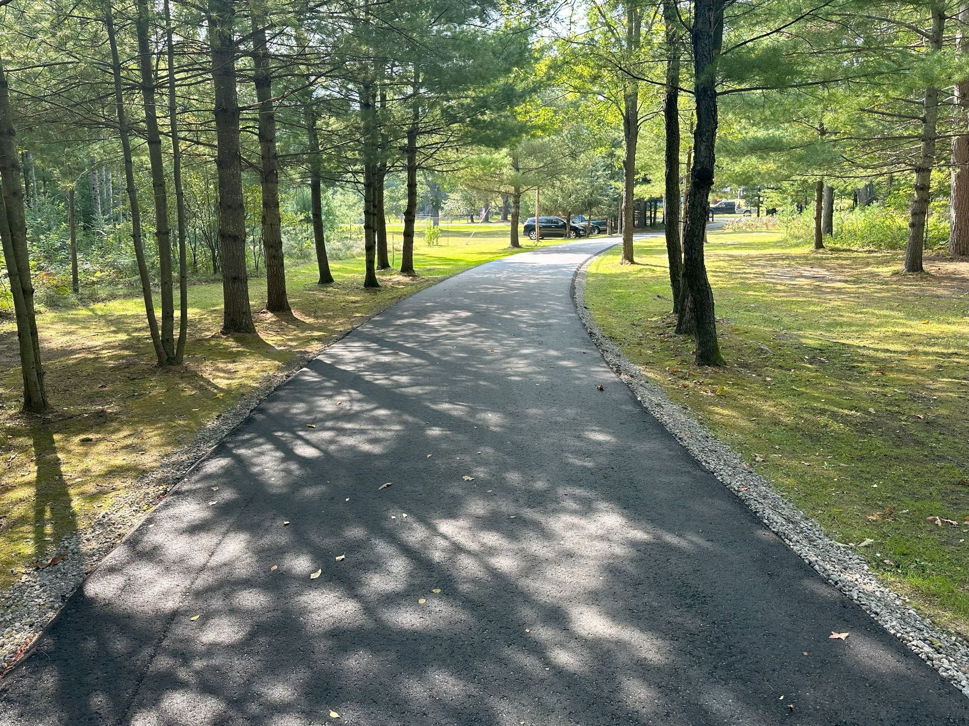 Curving paved path through a sunlit wooded park with trees and dappled shadows