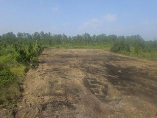 Land clearing in progress for site prep services