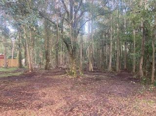 Forestry mulching completed
