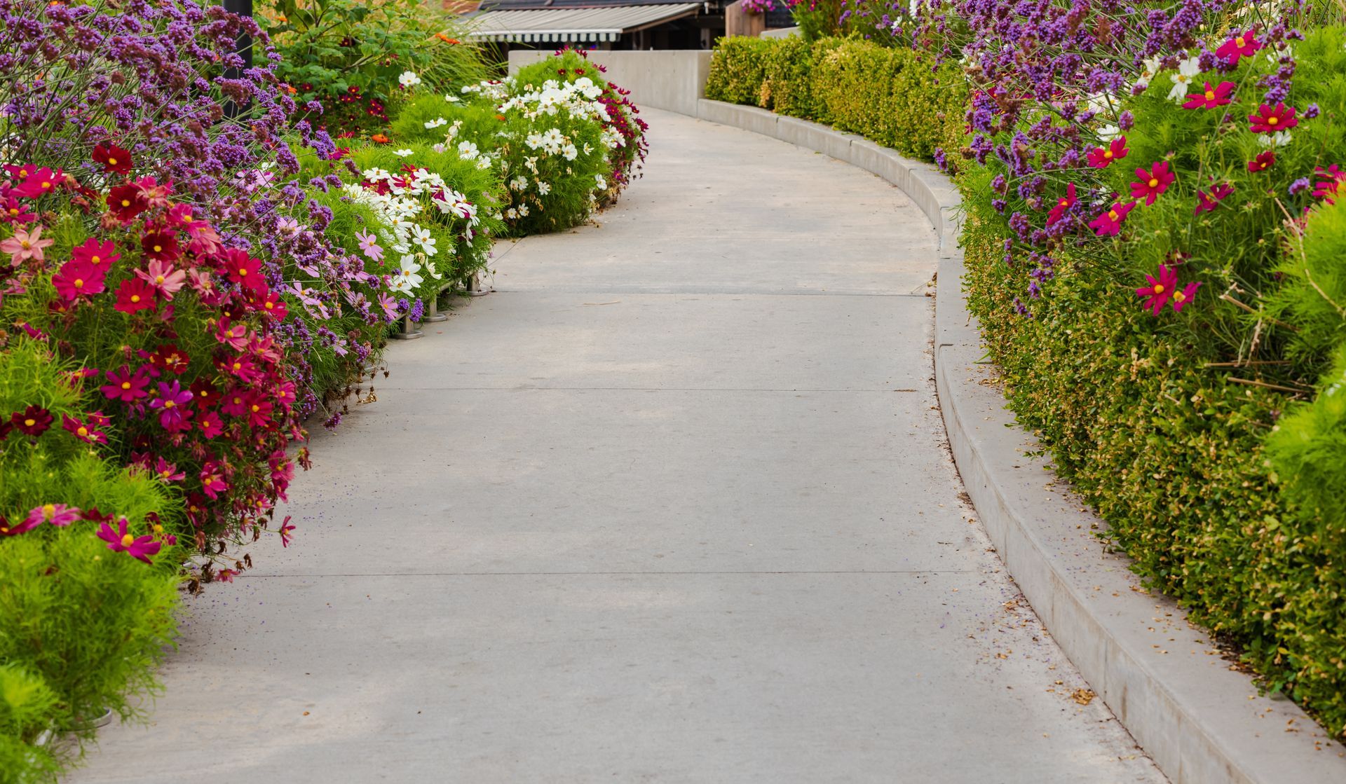 a concrete walkway surrounded by flowers and bushes