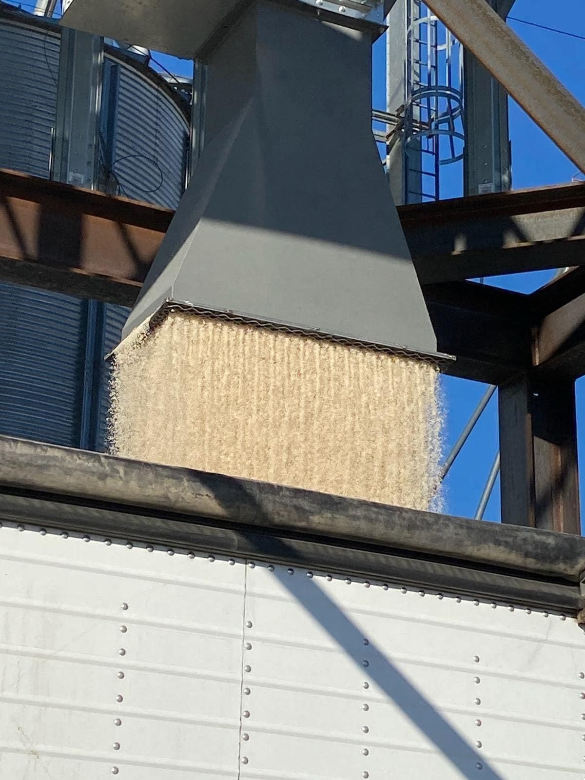 gallery silo inuse