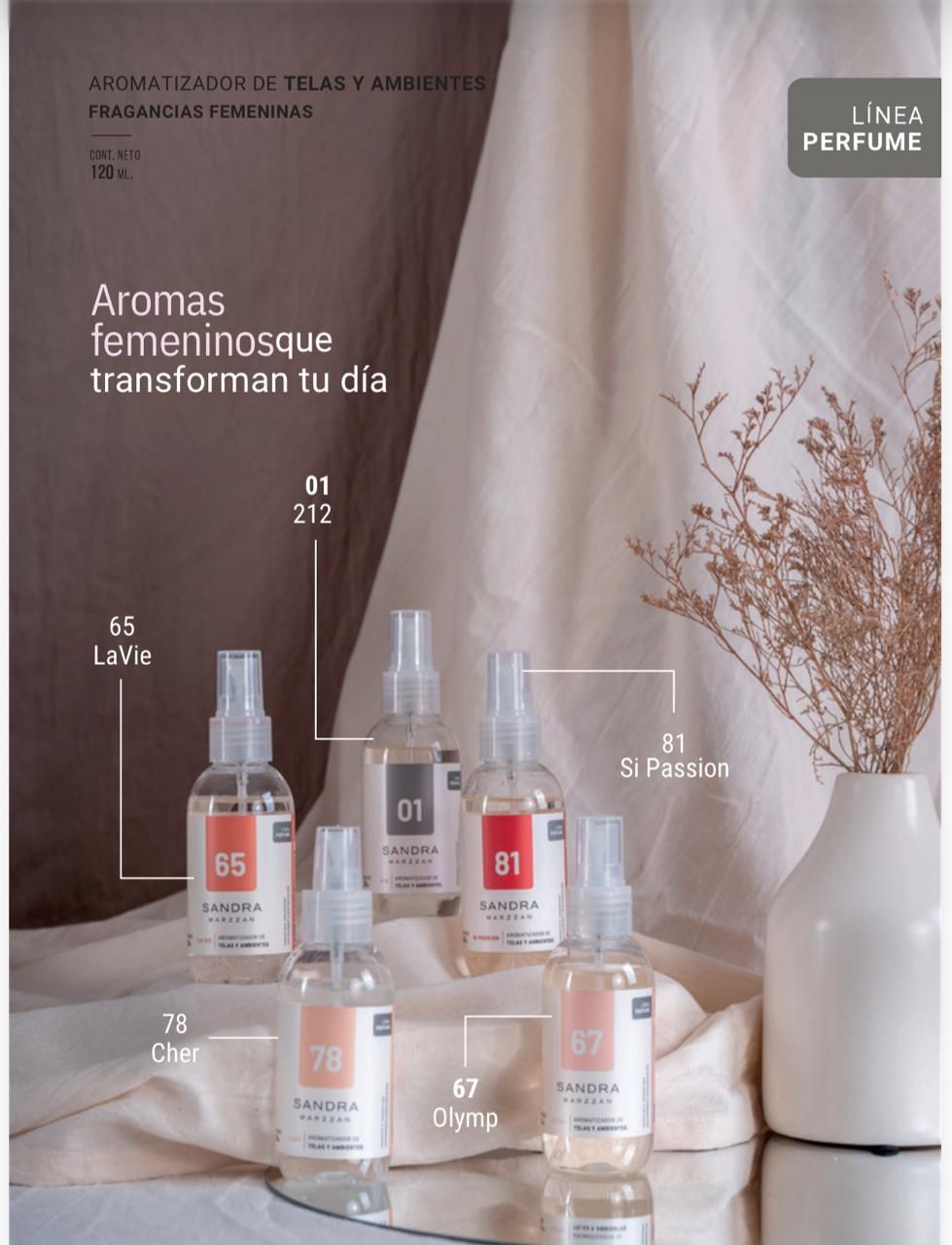 Expositor de perfumes con frascos transparentes y flores secas en un ambiente beige suave.