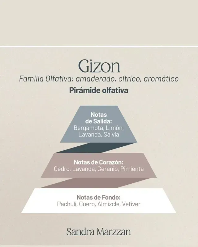 Pirámide olfativa de Gizon: familia olfativa, notas de salida, corazón y fondo, sobre un fondo claro
