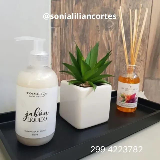 Botella blanca de jabón con dosificador, pequeña suculenta y difusor de varillas sobre una bandeja negra