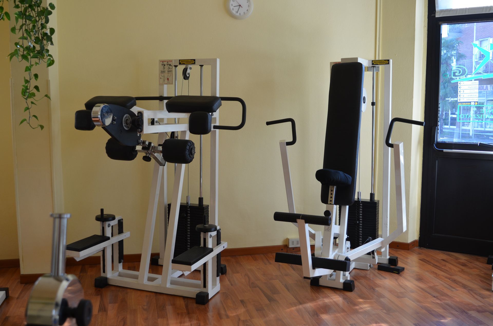 palestra