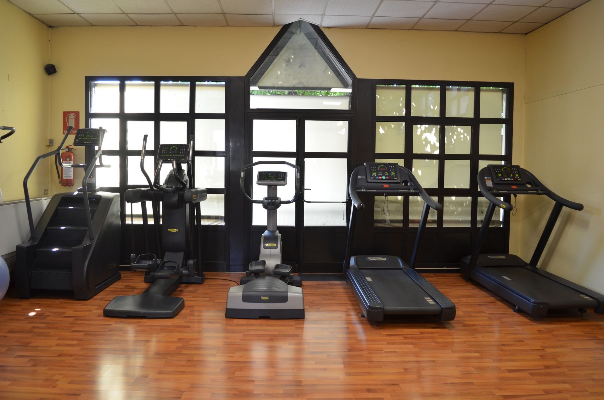 palestra