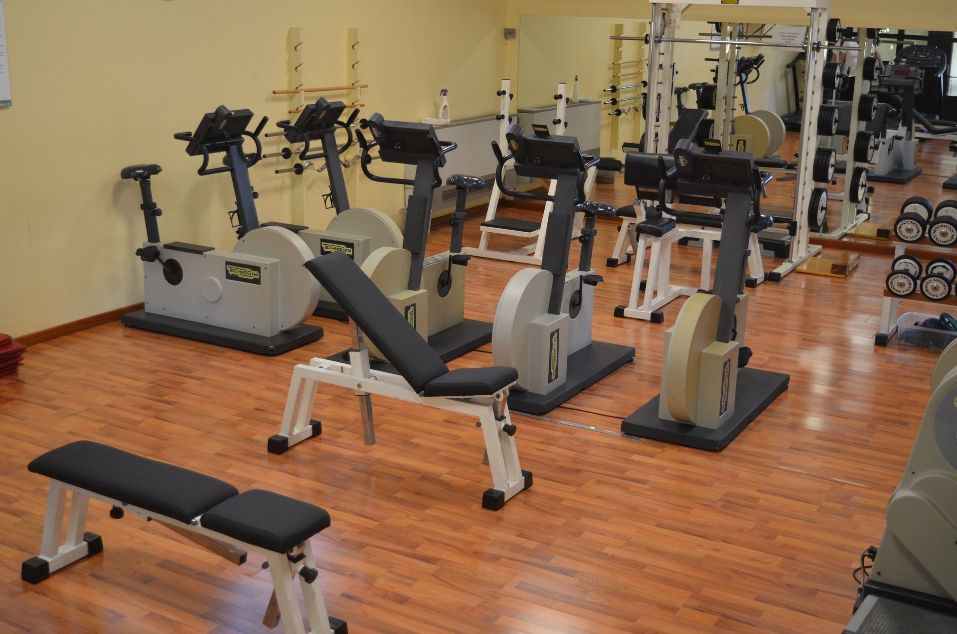palestra