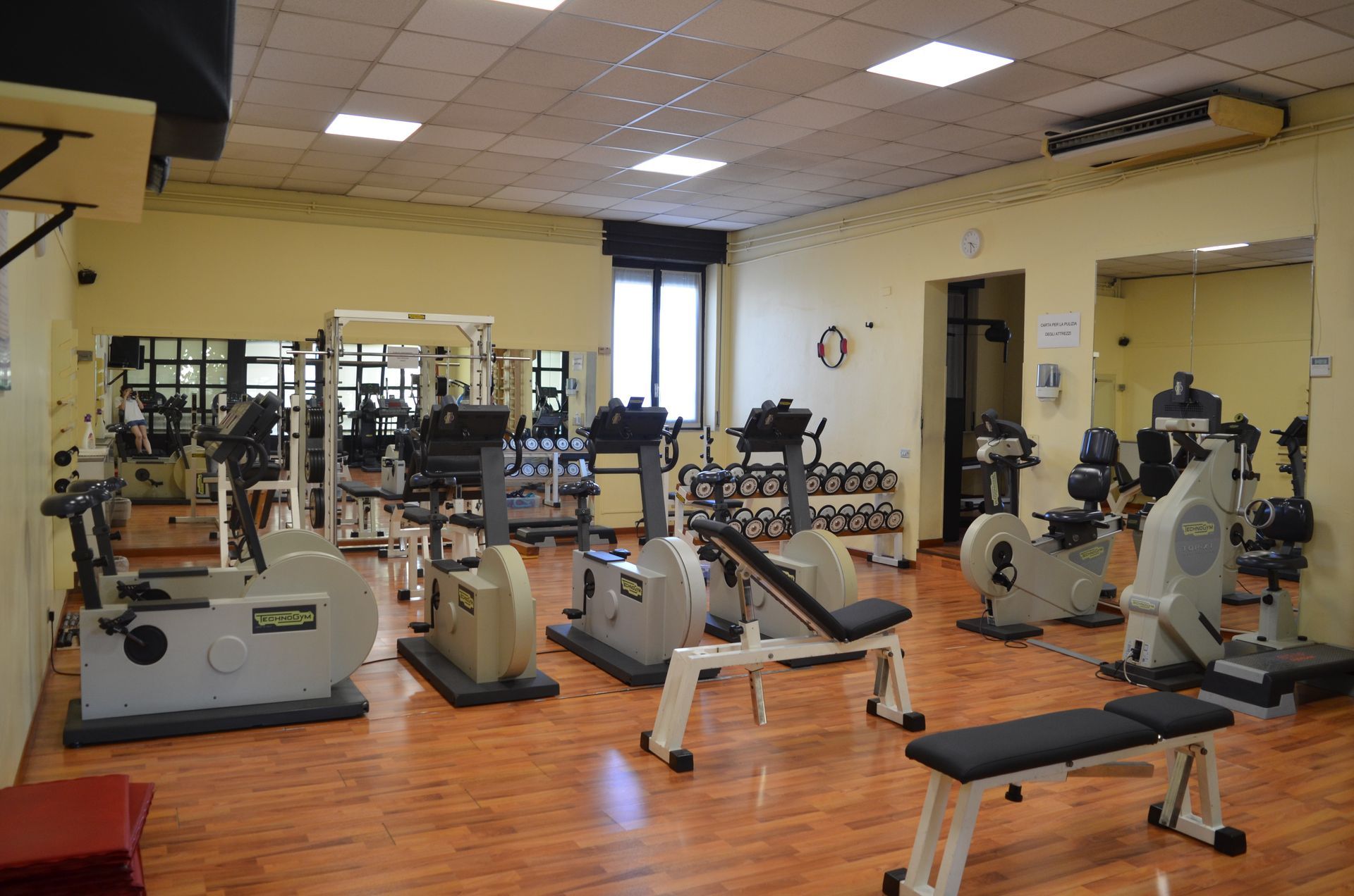 palestra