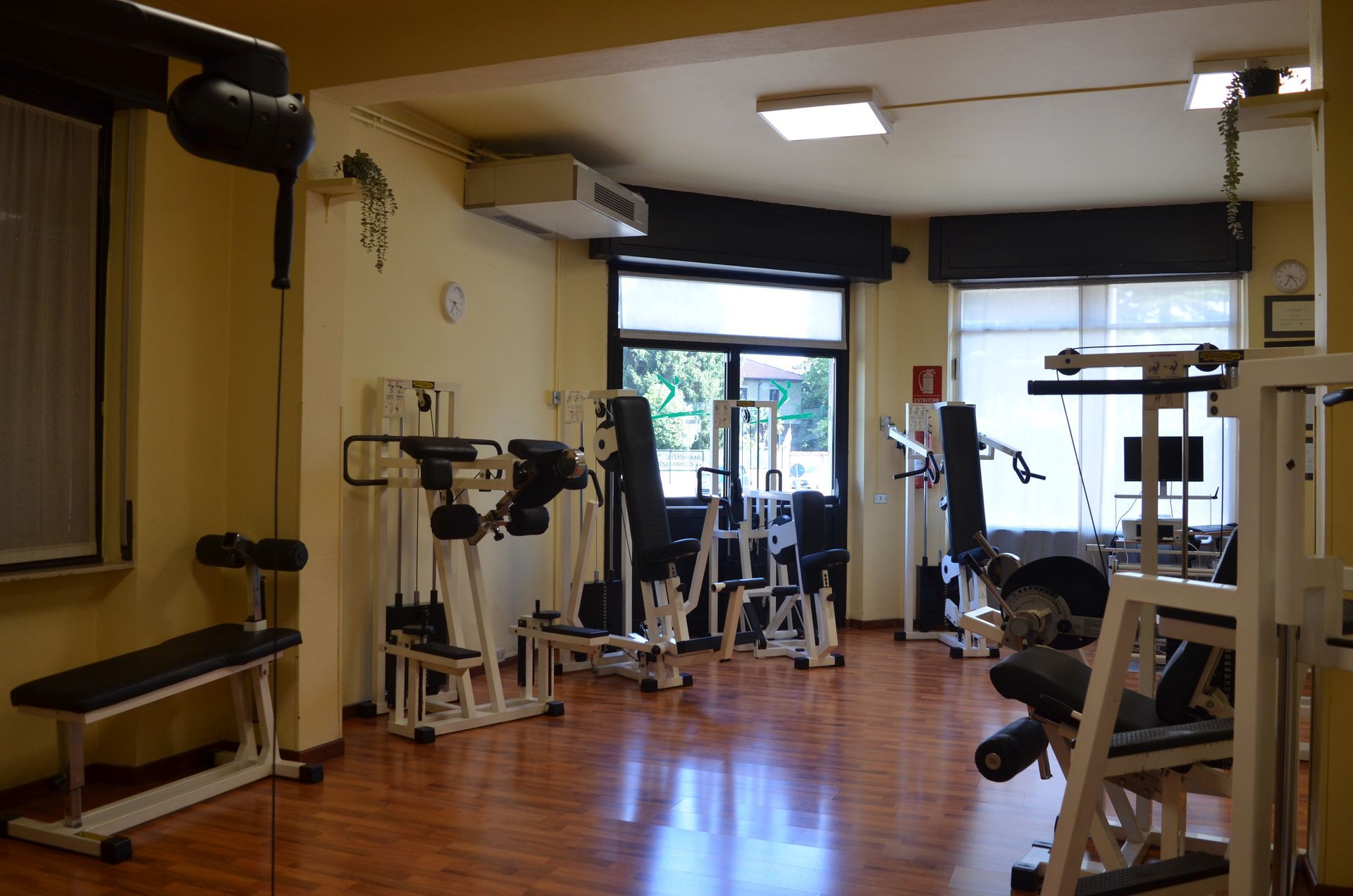 palestra